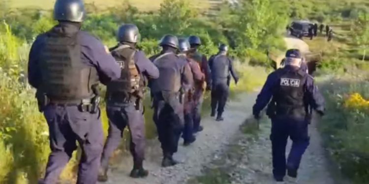 EMRAT/ Operacion antidrogë në Divjakë, goditet grupi kriminal, arrestohen 3 persona, shoqërohen 10 të tjerë