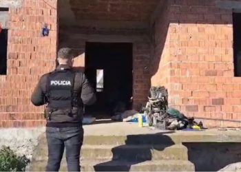 Funksiononin si grup kriminal për shitjen e kokainës, vihen në pranga vëllezërit dhe një person tjetër