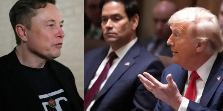 Sherr Musk-Rubio, futet Trump për t’i ndarë