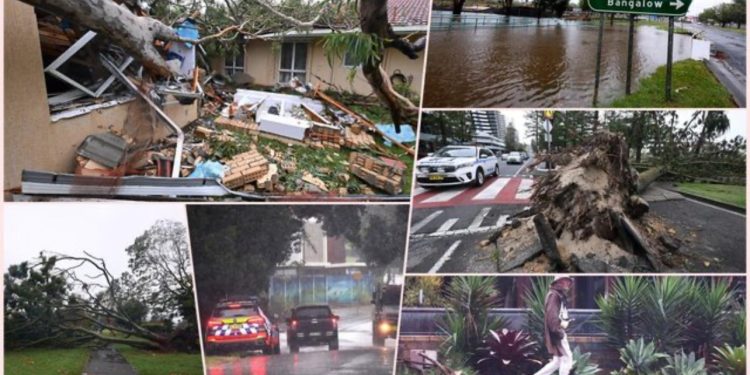 Përmbytje në Argjentinë, humbin jetën 6 persona, cikloni ‘Alfred’ godet Australinë