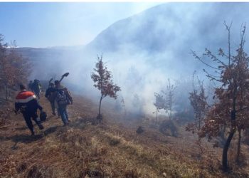 Dy zjarre të qëllimshme në zonën e Pogradecit, po punohet për izolimin e tyre