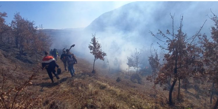 Dy zjarre të qëllimshme në zonën e Pogradecit, po punohet për izolimin e tyre