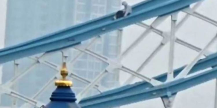 Londër/ I riu qëndroi mbi dy orë në kullë, policia pezullon kalimin në Tower Bridge pas incidentit