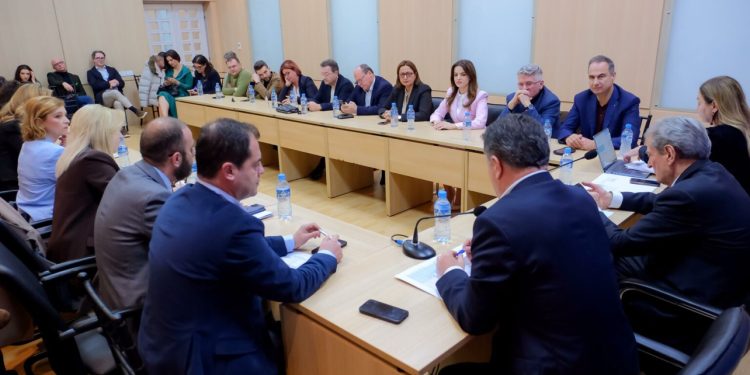 EMRAT/ Dy kandidatët për deputetë në listën e sigurt të PD-së për qarkun e Beratit