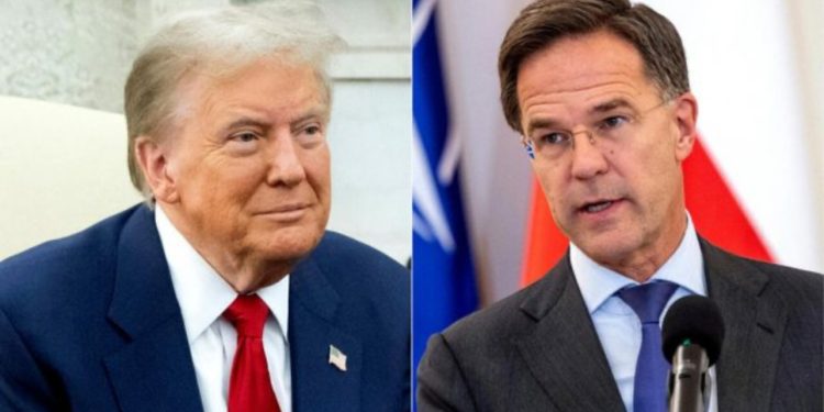 Donald Trump do të takohet me shefin e NATO-s në Shtëpinë e Bardhë, teksa SHBA punon për marrëveshjen e armëpushimit në Ukrainë!