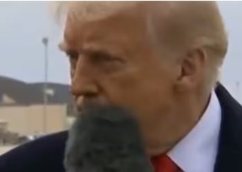 VIDEO/ Donald Trump goditet aksidentalisht me një mikrofon gjatë një konference për shtyp