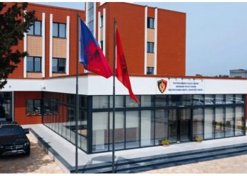 Shkodër/ 19-vjeçarja plagos vëllanë e mitur, dërgohet në spitalin psikiatrik