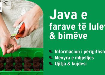 Java e farave të luleve dhe bimëve në Megatek – Zbulo gjithçka mbi mbjelljen, ushqimin dhe kujdesin ndaj bimëve tuaja