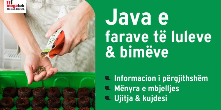 Java e farave të luleve dhe bimëve në Megatek – Zbulo gjithçka mbi mbjelljen, ushqimin dhe kujdesin ndaj bimëve tuaja