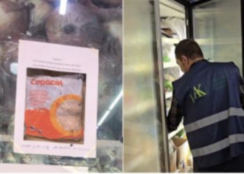 Skandali me mishin e pulës me salmonelë, AKU aksion në disa supermarkete në Vlorë