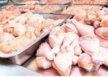 Skandali i mishit të pulës me salmonelë/ Ishte shpallur në kërkim, ndalohet importuesi, Policia: U vendos procedimi në gjendje të lirë 