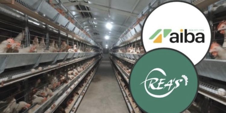 Gripi i shpendëve në vend, ngordhin rreth 500 mijë pula në dy fermat “Rea’s” dhe “AIBA”! Ministria: I kemi asgjësuar përmes djegies