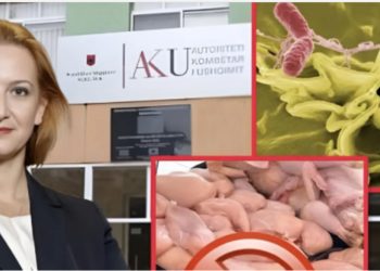 Skandali/ Ish-ministri: Mishi i ndotur me salmonelë vazhdon të shitet në markete