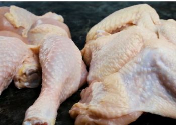 Skandali/ Kontrolle në Vlorë, kapen disa subjekte që tregtonin mish pule me salmonelë