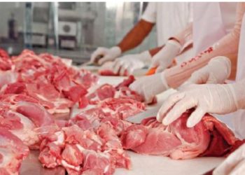 “Brazili furnizuesi kryesor!” Të dhënat: Rritet varësia e konsumit nga mishi i importit, arrin 48 mijë ton në vit