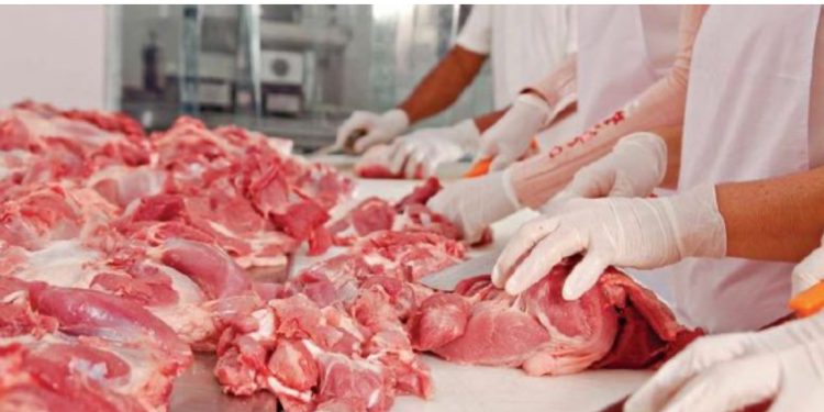 “Brazili furnizuesi kryesor!” Të dhënat: Rritet varësia e konsumit nga mishi i importit, arrin 48 mijë ton në vit