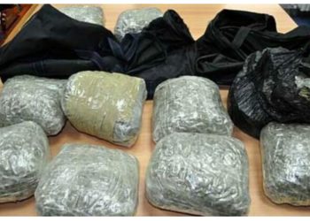 Policia holandeze mobilizohet pas një informacioni anonim/ Mësyjnë brenda një banese, zbulohen 40 kg marijuanë, në pranga një 28-vjeçar shqiptar