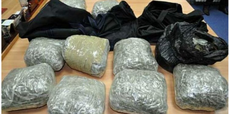 Policia holandeze mobilizohet pas një informacioni anonim/ Mësyjnë brenda një banese, zbulohen 40 kg marijuanë, në pranga një 28-vjeçar shqiptar