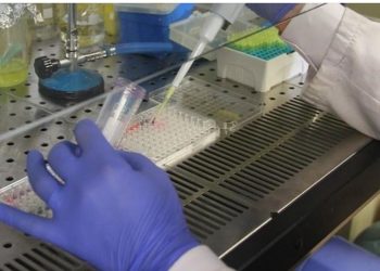 Austria mbyll nga sot pikat kufitare me Sllovakinë dhe Hungarinë për shkak të përhapjes së një sëmundje infektive