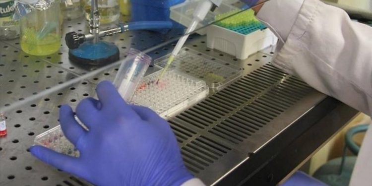 Austria mbyll nga sot pikat kufitare me Sllovakinë dhe Hungarinë për shkak të përhapjes së një sëmundje infektive