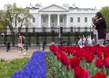 Anulohet papritur konferenca për shtyp/ Trump pret sot Netanyahun në Shtëpinë e Bardhë