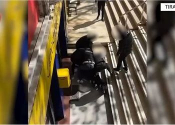 3.6 kg kanabis me vlerë 50 mijë euro trafikohet me postë nga SHBA, arrestohet i riu në Tiranë