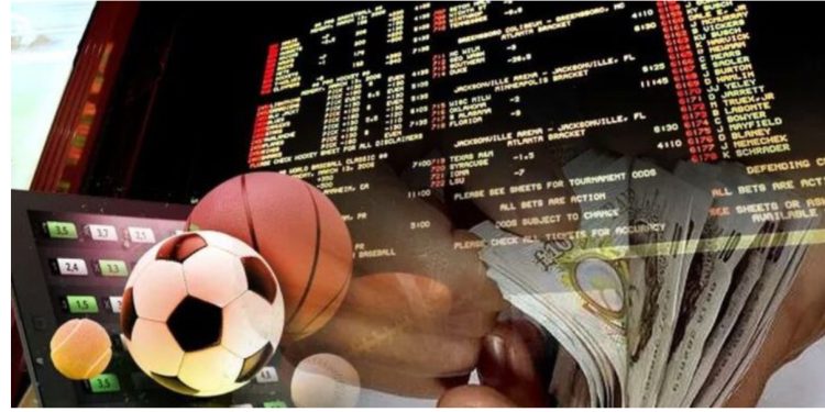 INVESTIGIMI/ Bastet pushtojnë qytetet: Kush organizon tregun e miliardave, roli i policisë, “peshkaqenët” dhe “cironkat”