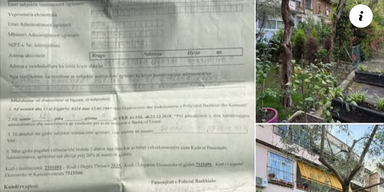 “Kjo nuk është policia bashkiake që na duhet”, Erion Braçe: I vendosin qytetarit 200 mijë lekë gjobë se krasiti pemët e veta