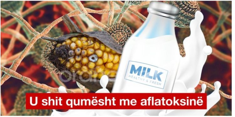 Nuk mjafton vaji i palmës, kompanitë e bulmetit i ushqyen shqiptarët dhe me qumësht me aflatoksinë