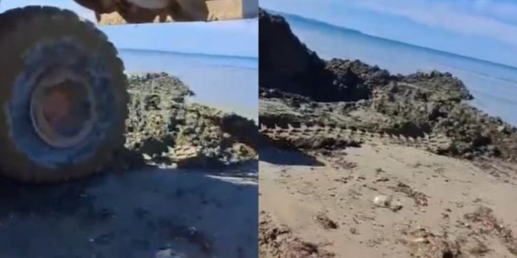 VIDEO/ Zona e plazhit në Durrës zgjerohet me argjil në vend të rërës, qytetari: Ja ça bëhet këtu