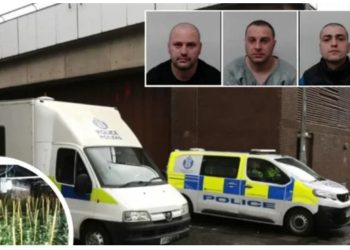 EMËR+FOTO/ U kap duke punuar në fermë kanabisi me vlerë 4 milion euro, shqiptari dënohet me 45 muaj burg