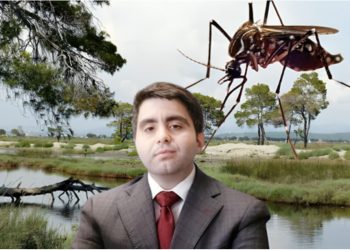 DOKUMENTET/ Tenderi i mushkonjave çoi Jonaid Myzyrin në SPAK: Nuk zbatoi vendimin e Apelit!