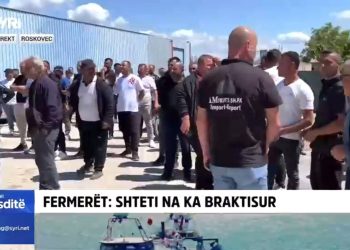 Qeveria i ka braktisur/ Fermerët e Roskovecit në protestë: Grumbulluesit bëjnë lojëra me çmimin