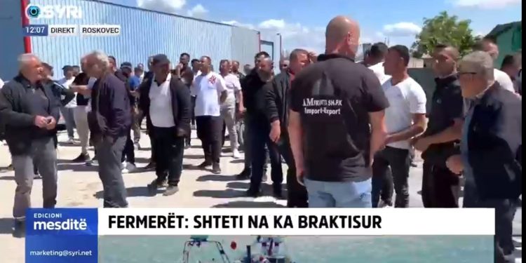 Qeveria i ka braktisur/ Fermerët e Roskovecit në protestë: Grumbulluesit bëjnë lojëra me çmimin