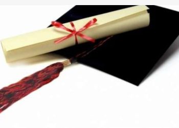 A po e zëvendëson teknologjia diplomën universitare?