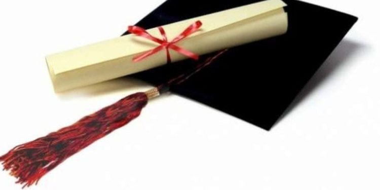 A po e zëvendëson teknologjia diplomën universitare?