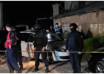 Qëlloi me armë zjarri, arrestohet babai i kandidatit socalist për deputet