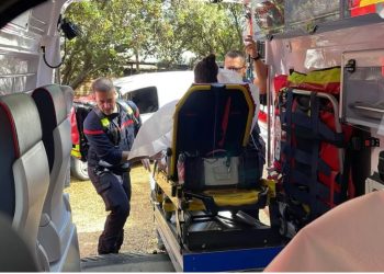 Rrufeja bie mbi kopshtin zoologjik, 13 të plagosur në Francë