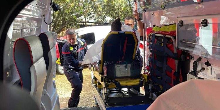 Rrufeja bie mbi kopshtin zoologjik, 13 të plagosur në Francë