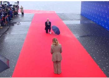 E bën sërish/ Rama i ulet në gjunjë Melonit, kryeministrja vihet në siklet: Edi stop