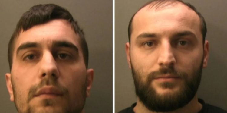 Dënohen shqiptarët që iu kapën 900 rrënjë kanabis/ Gjyqtarit anglez i soset durimi: Histori që e dëgjoj çdo javë