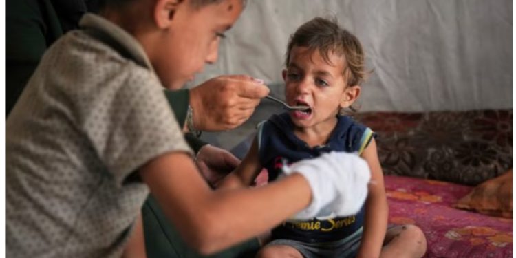 OKB ngre alarmin: 14,000 foshnje mund të vdesin në Gaza brenda 48 orëve të ardhshme pa ndihmë