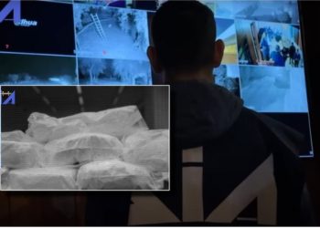 Goditja e grupit të “Pojës”/ SPAK: Janë 3 organizata, 40 episode trafiku droge të dokumentuar në 5 vite