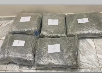 Operacioni ‘Ura’/ Zanafilla e aktivitetit hetimor nisi që nga shtatori 2021! në Itali u bë marrja, fshehja, prerja, paketimi në blloqe dhe transferimi i lëndës narkotike që vinte nga Shqipëria…