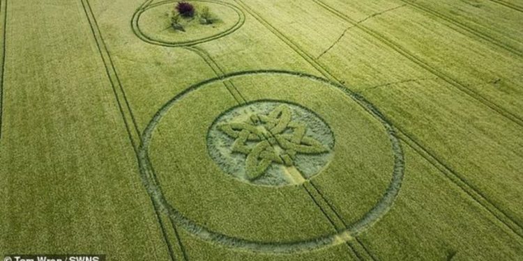 Rikthehen rrathët misteriozë në fusha, shpërthejnë menjëherë konspiracionet mbi UFO-t