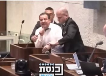 VIDEO/ Dënoi ashpër gjenocidin në Gazë, deputeti në Izrael nxirret me forcë nga salla e parlamentit