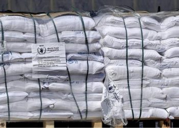 Situatë kritike: Rreth 130 kamionë me ndihma humanitare hyjnë në Gaza