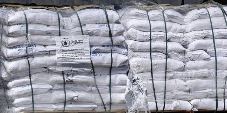 Situatë kritike: Rreth 130 kamionë me ndihma humanitare hyjnë në Gaza