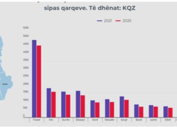 Votuesit që munguan në zgjedhjet parlamentare