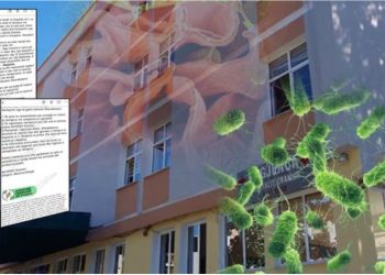14 fëmijë të infektuar me salmonelë në Gramsh! Vihet në lëvizje NJVKSH, zbulohet e-maili për mjekët
